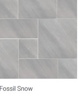 fossil-snow